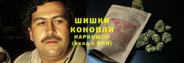 дживик Баксан