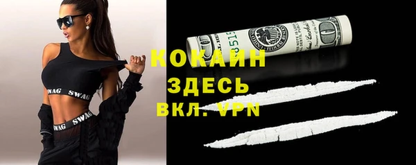 дживик Баксан
